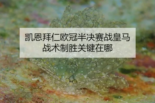 kai-en-bai-ren-ou-guan-ban-jue-sai-zhan-huang-ma-zhan-shu-zhi-sheng-guan-jian-zai-na-1-780.jpg